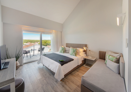 Junior Suite Main Building